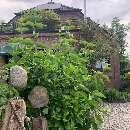 Reeser Schatzkaestchen