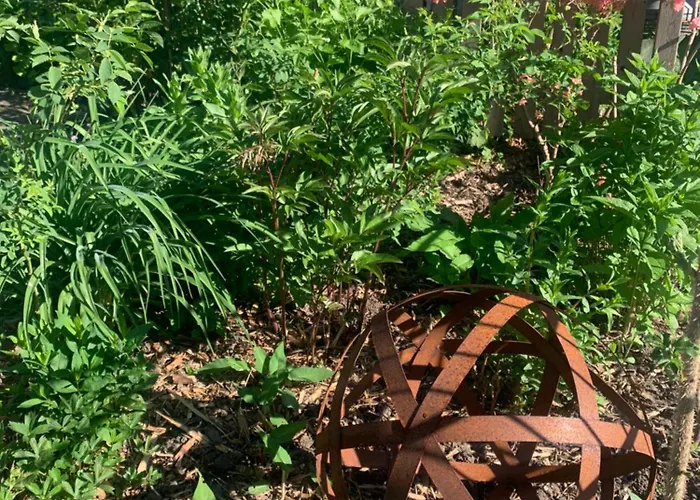 度假居 Reeser Schatzkaestchen